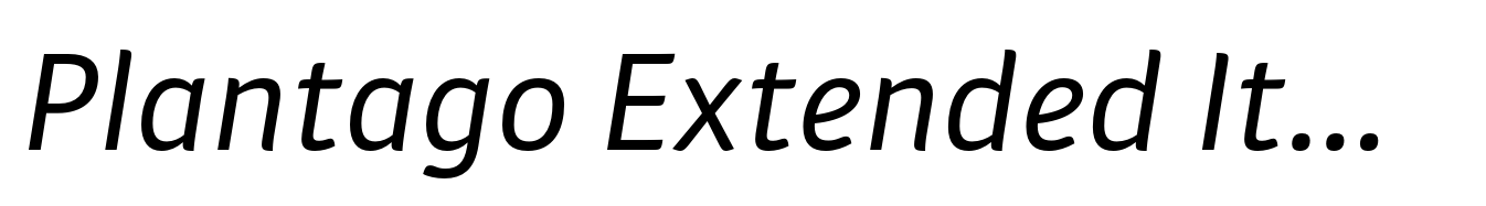 Plantago Extended Italic